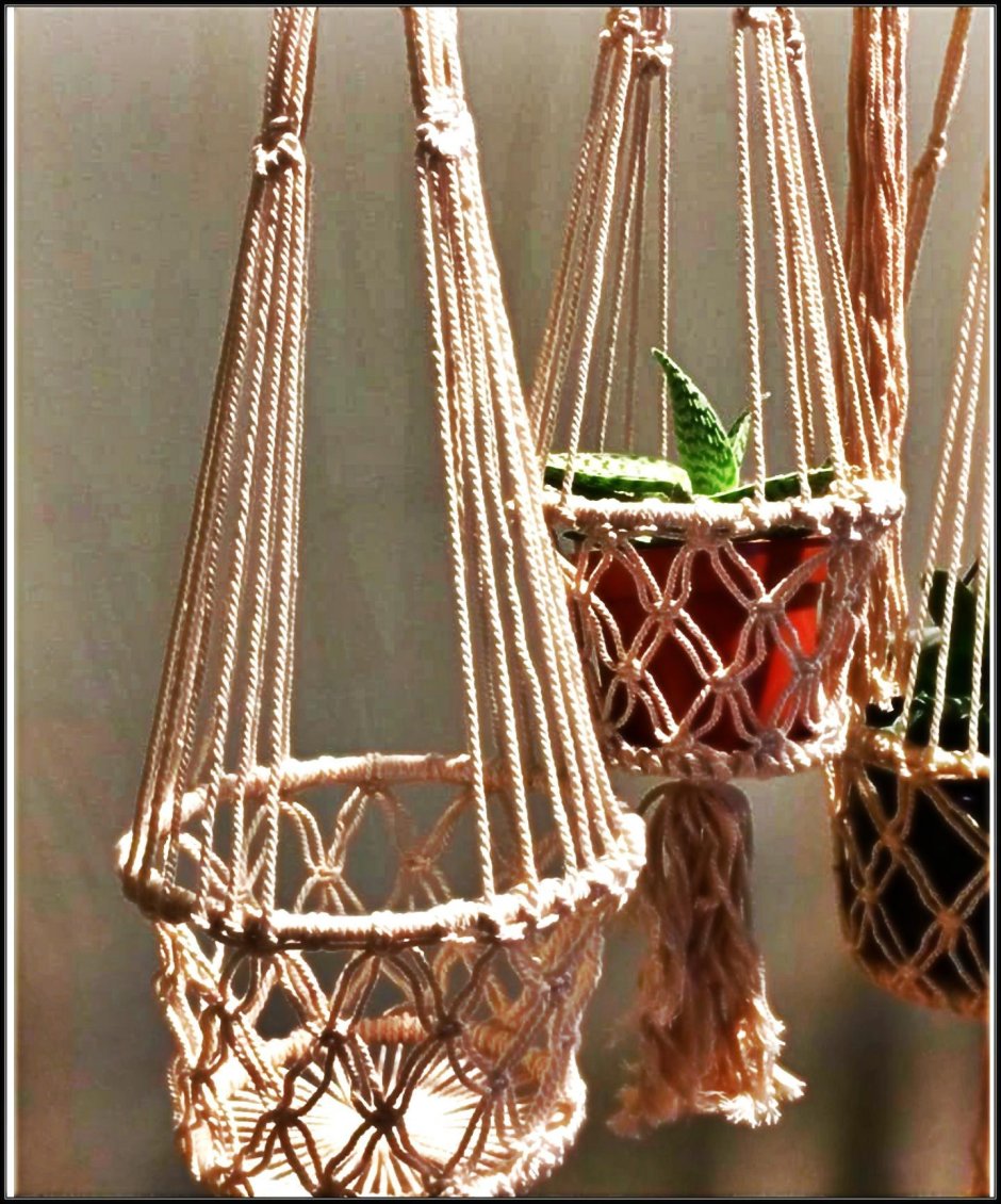 Macrame Plant Hanger