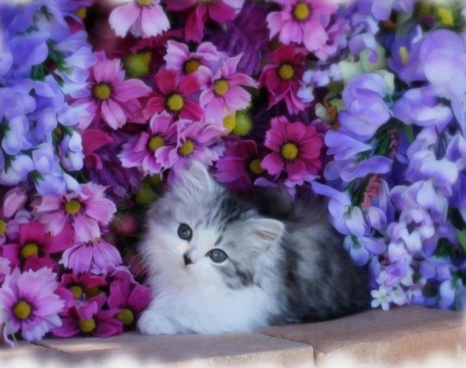 Котёнок с цветком