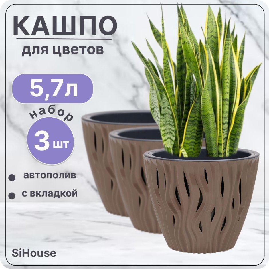 West Elm горшки