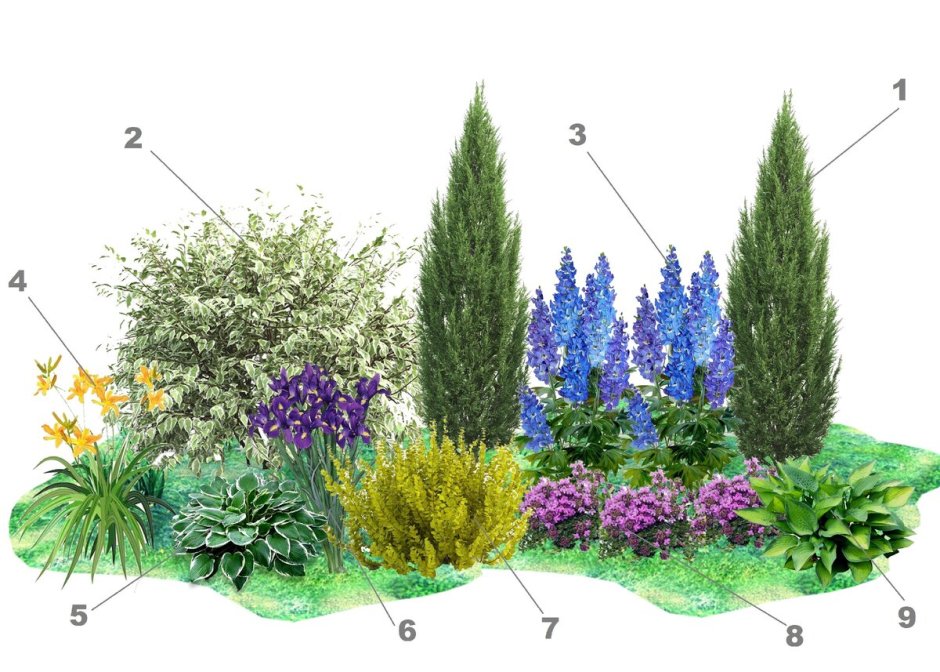 Теневой миксбордер можжевельником