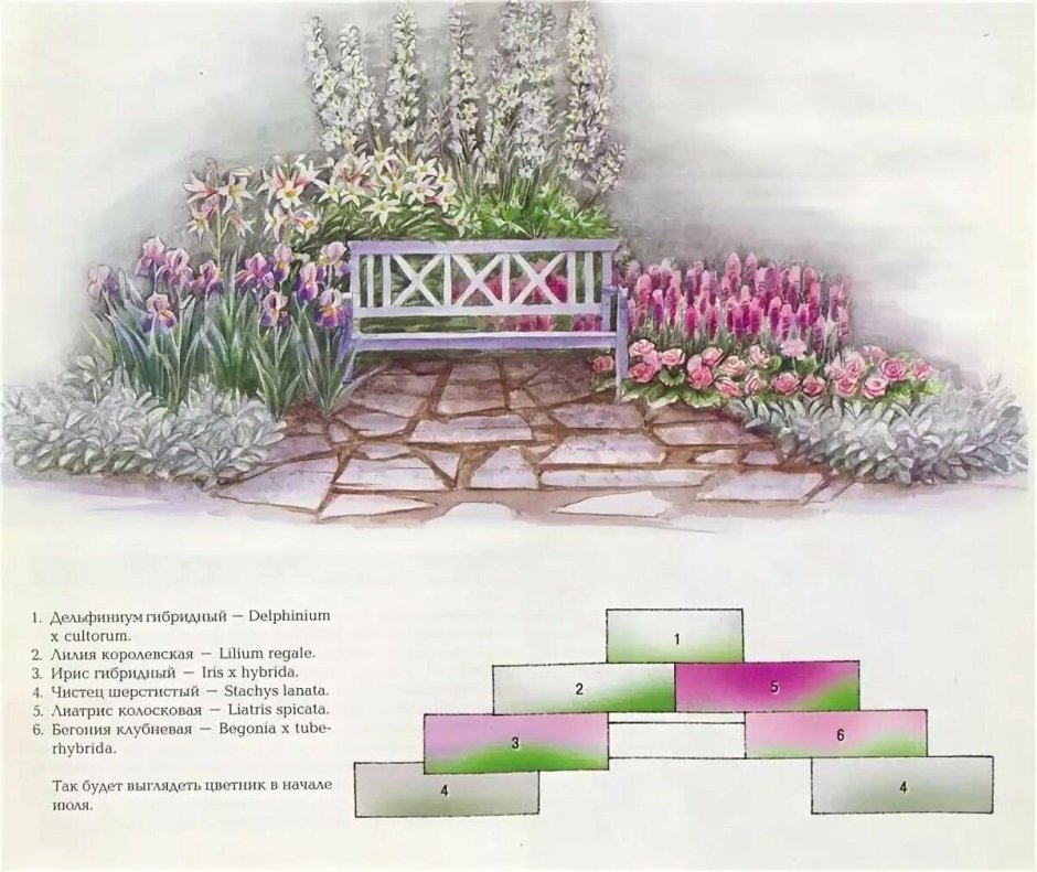 Схема миксбордера из многолетников непрерывного цветения у забора