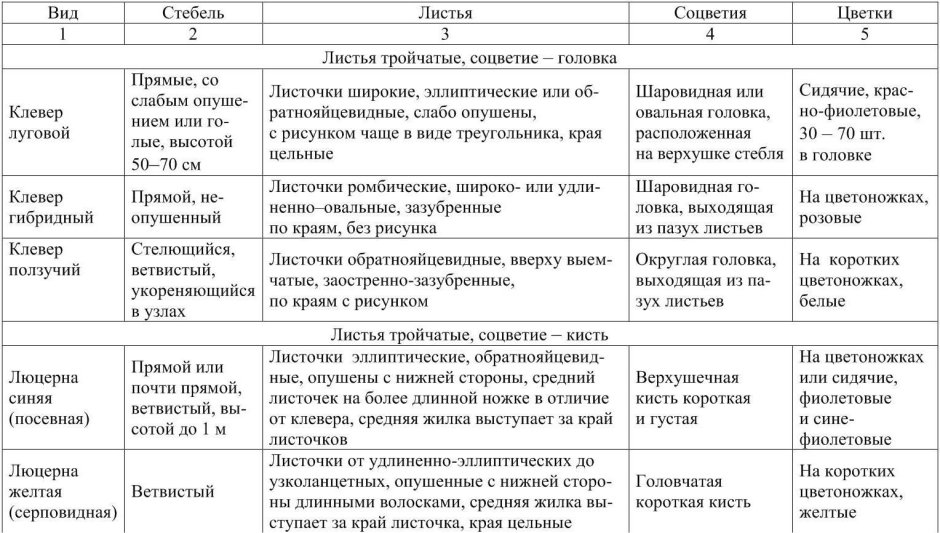 Строение цветка люцерны