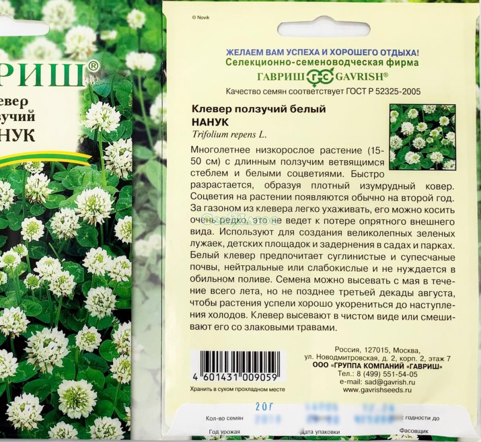 Клевер Луговой Trifolium praténse