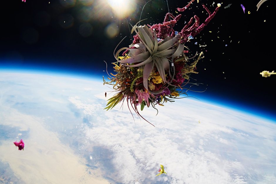 Макото Адзума цветы в космосе
