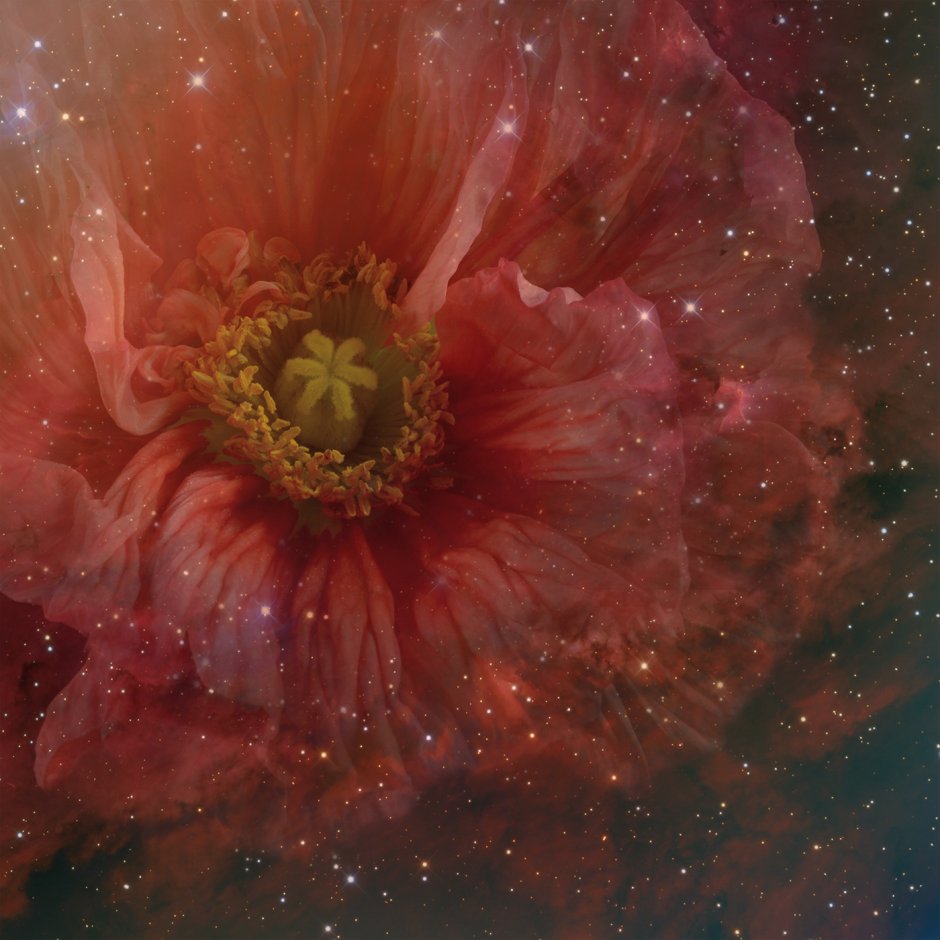 Цветок Вселенной