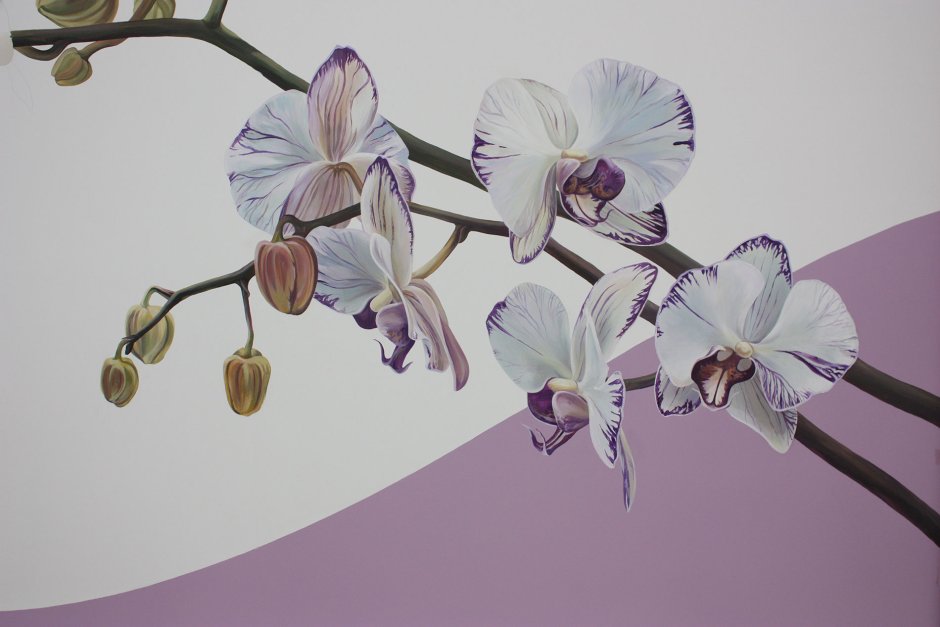 Орхидея узор