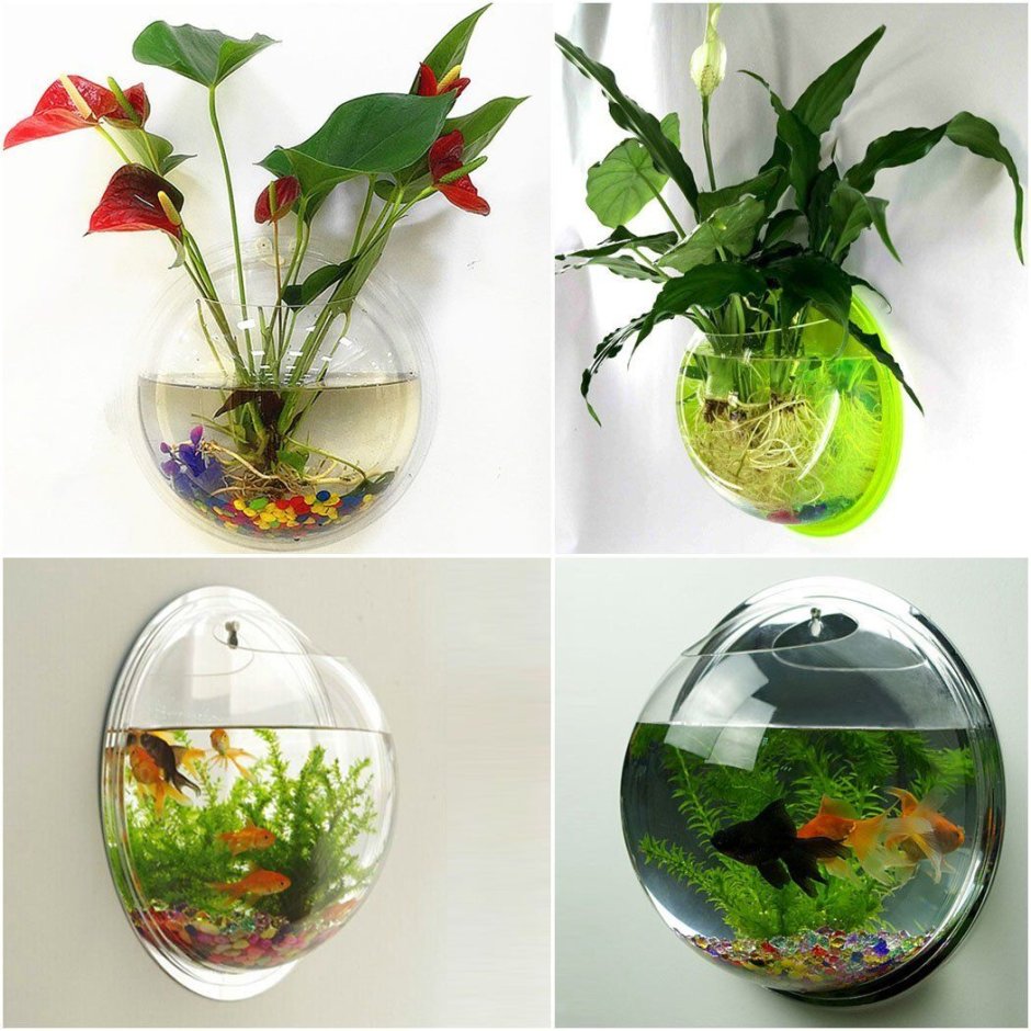 Декорации для маленького круглого аквариума