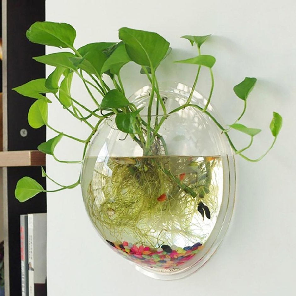 Круглый аквариум для цветов