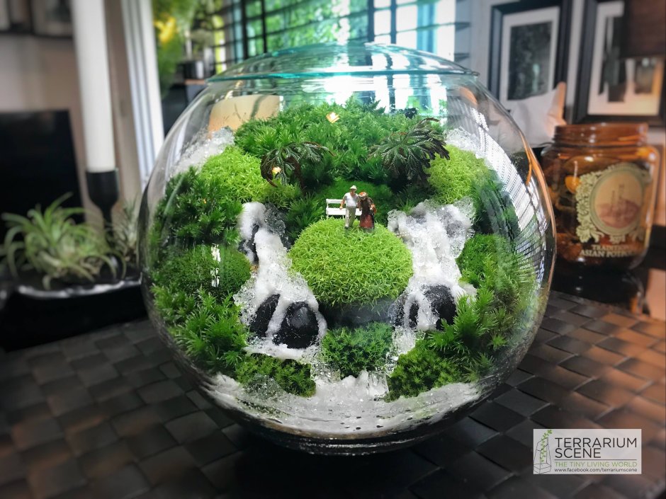 Terrarium Moss террариумный мох