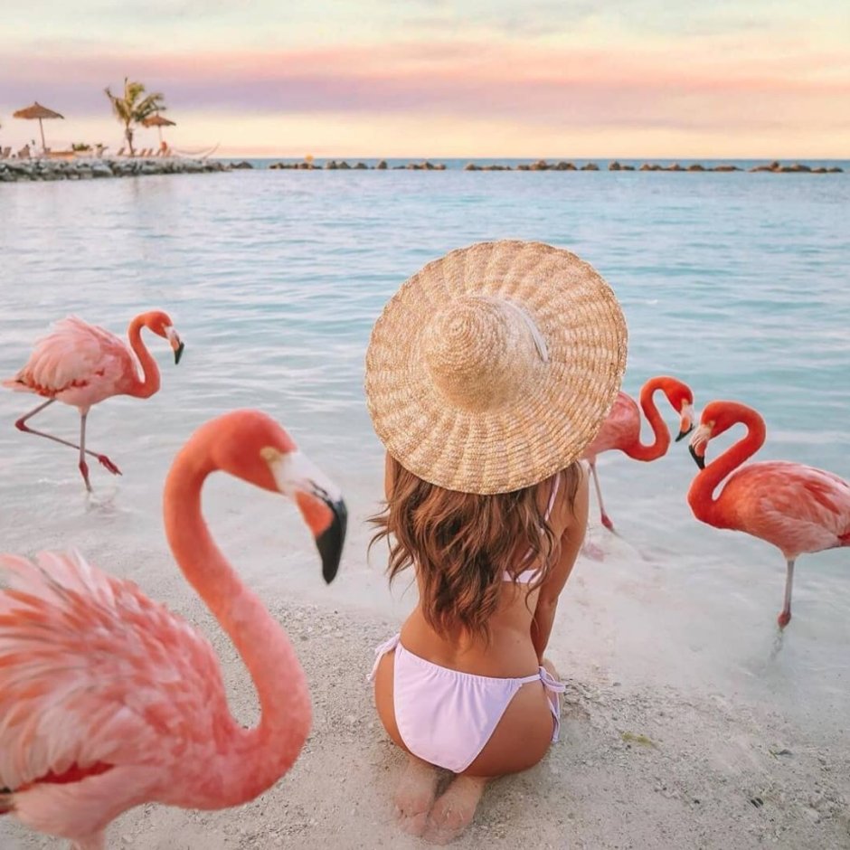 Emily Flamingo