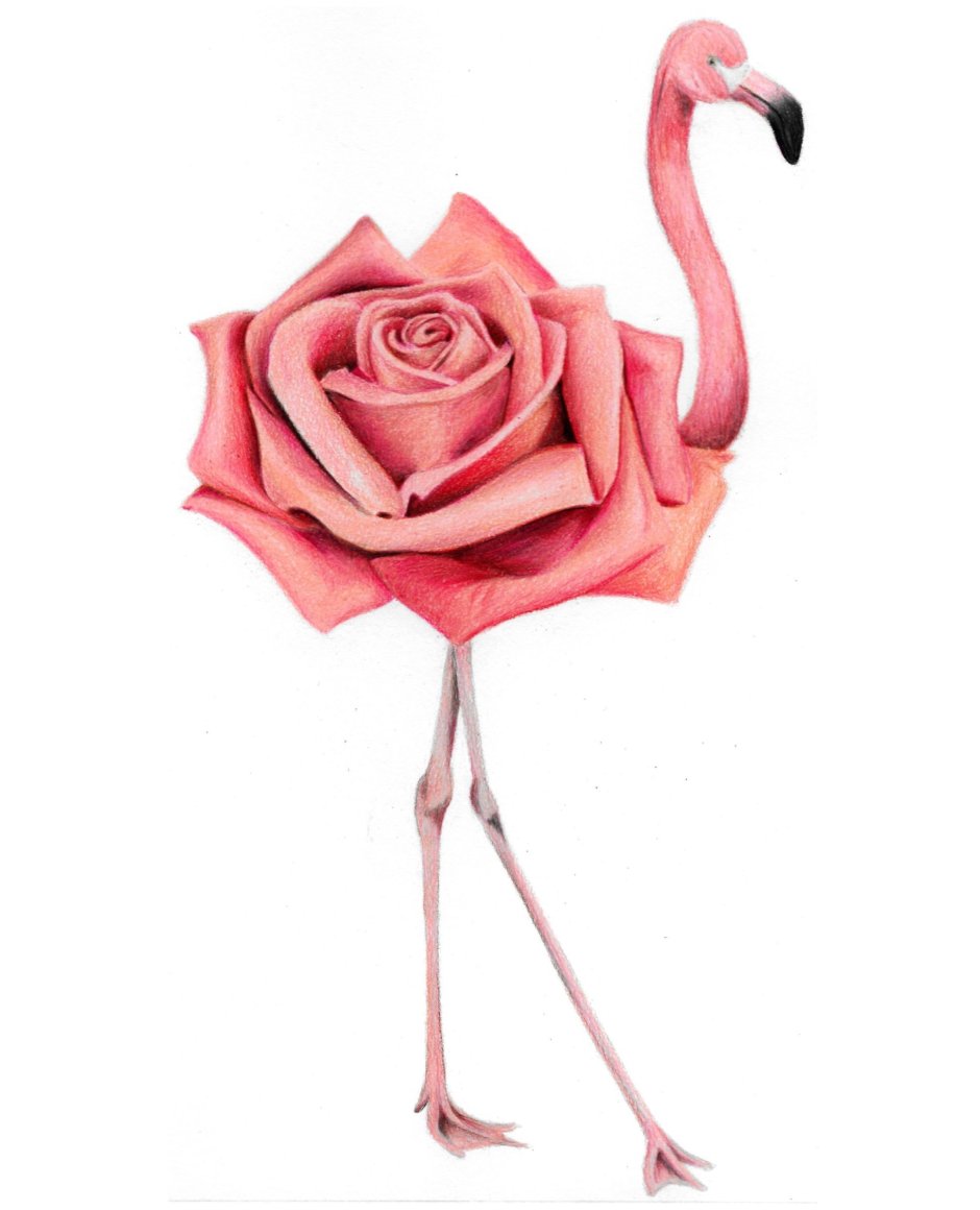Красный Фламинго фото