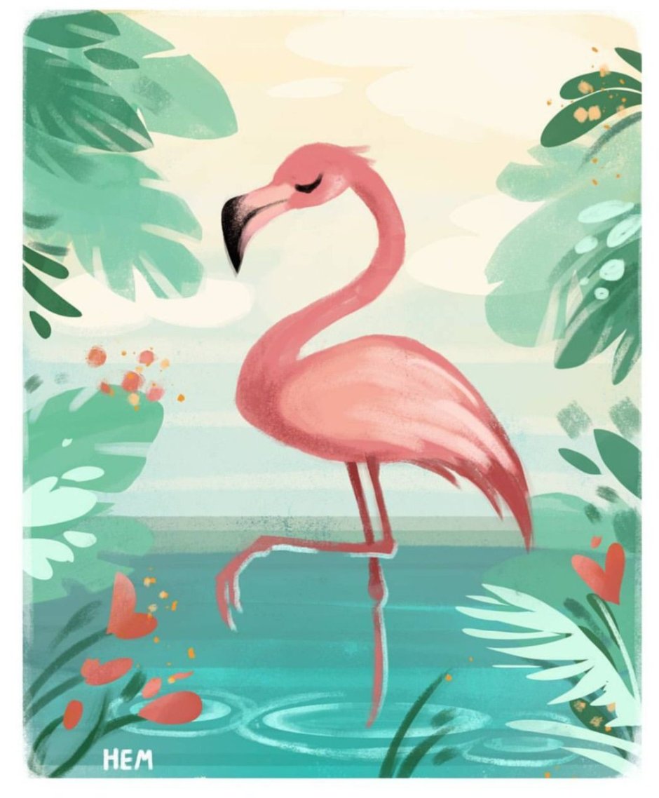 Обыкновенный Фламинго рисунок