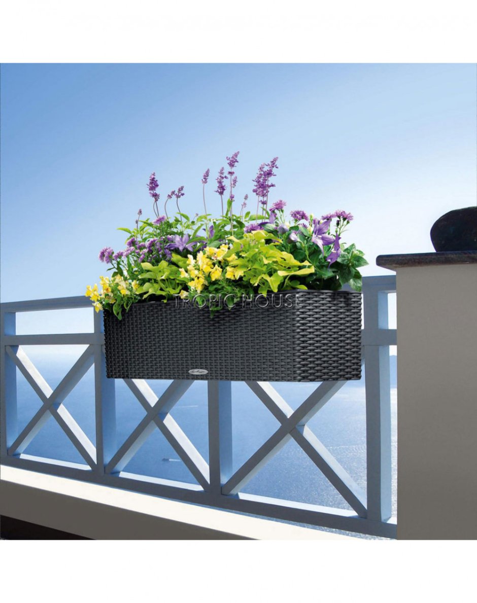 Lechuza Planters