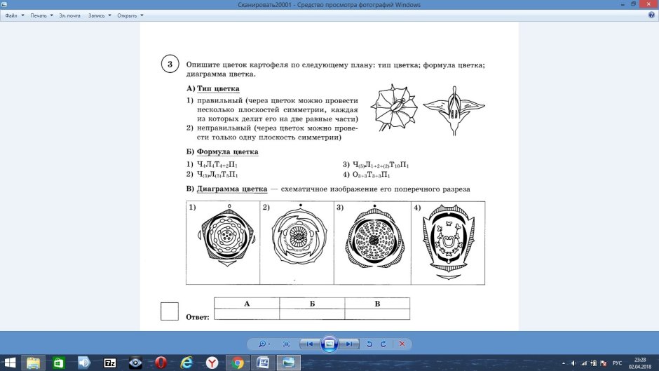 Пестиков и тычинок у цветка.