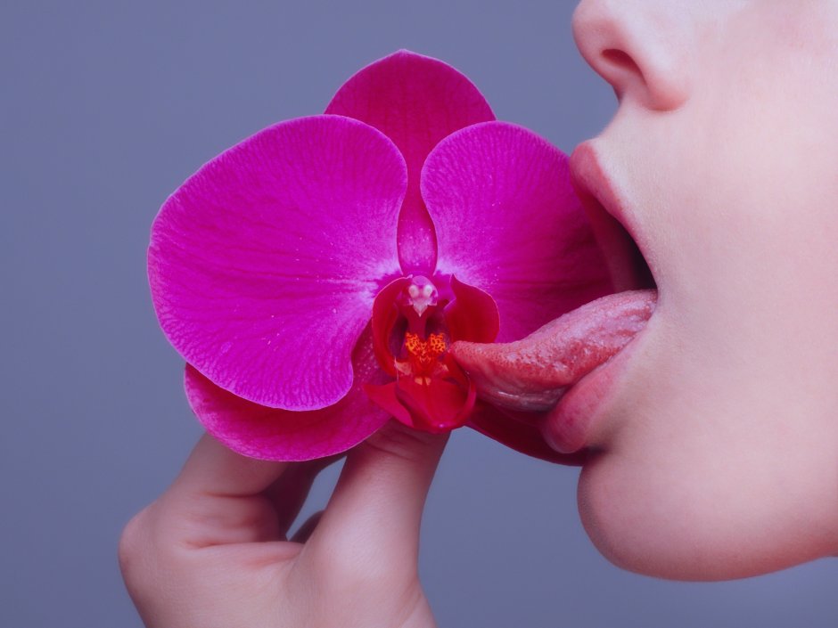 Цветущая Орхидея поза