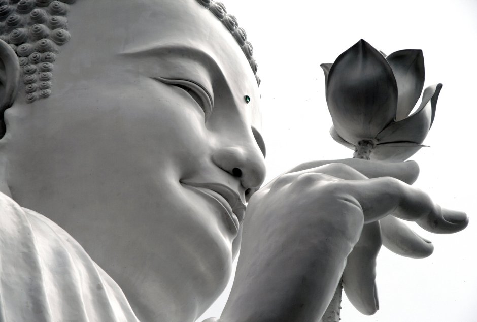 Лотус в руках у Будды