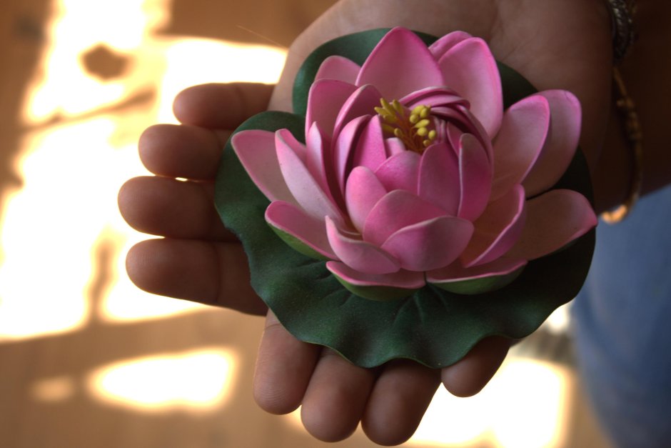 Цветок лотоса в руках