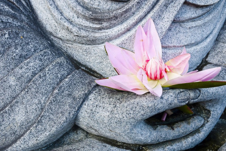 Цветок Будды
