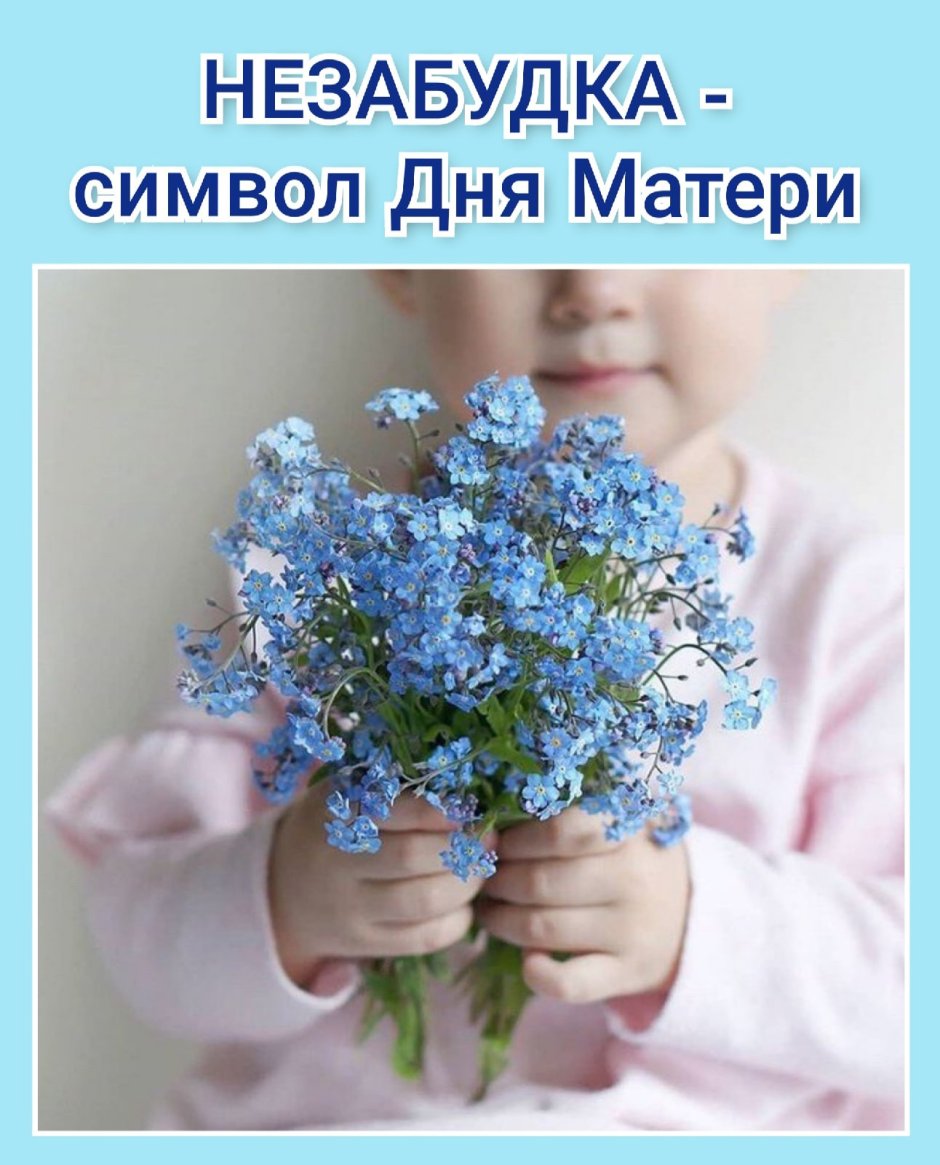 Пролеска цветок голубой