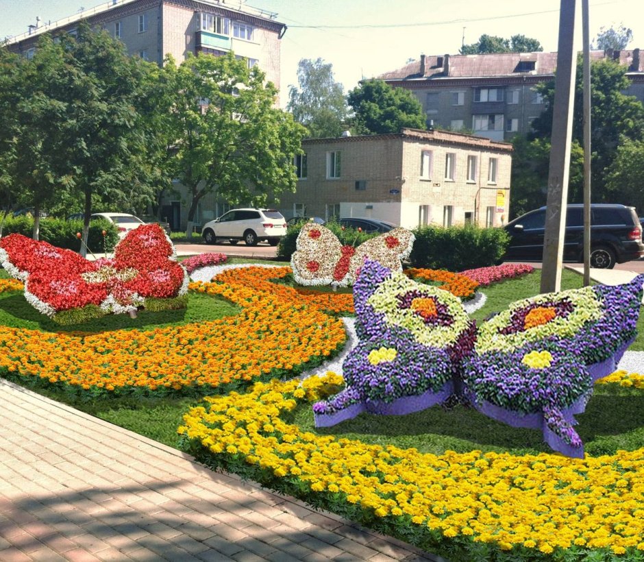 Травянистые растения леса Подмосковья