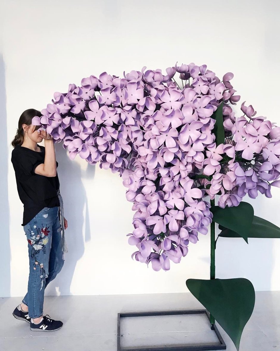 Андрей Островерхов гигантские цветы