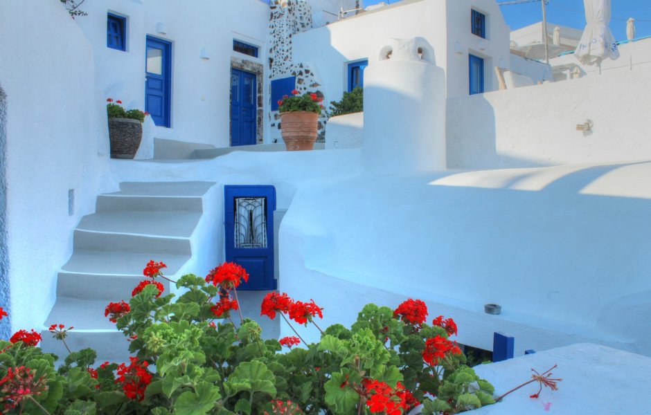 Цветы Греции Санторини Греция