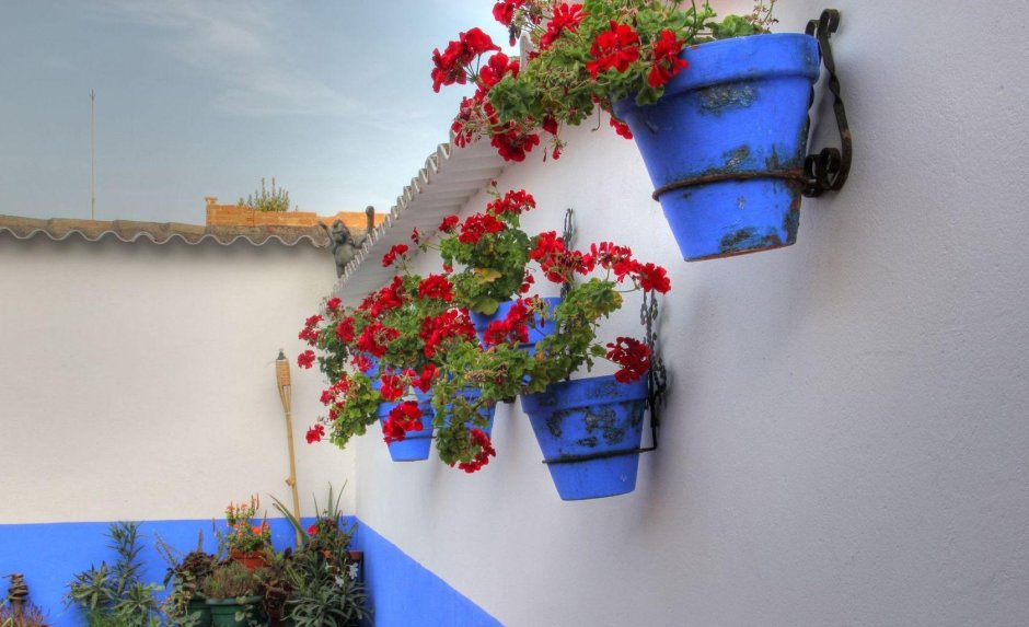 Итальянские цветочные горшки на стенах