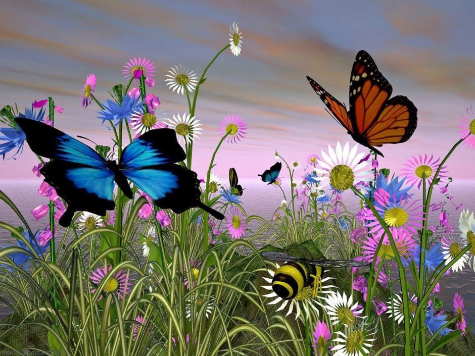 Мечты о бабочках
