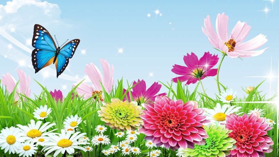 Яркие цветы и бабочки
