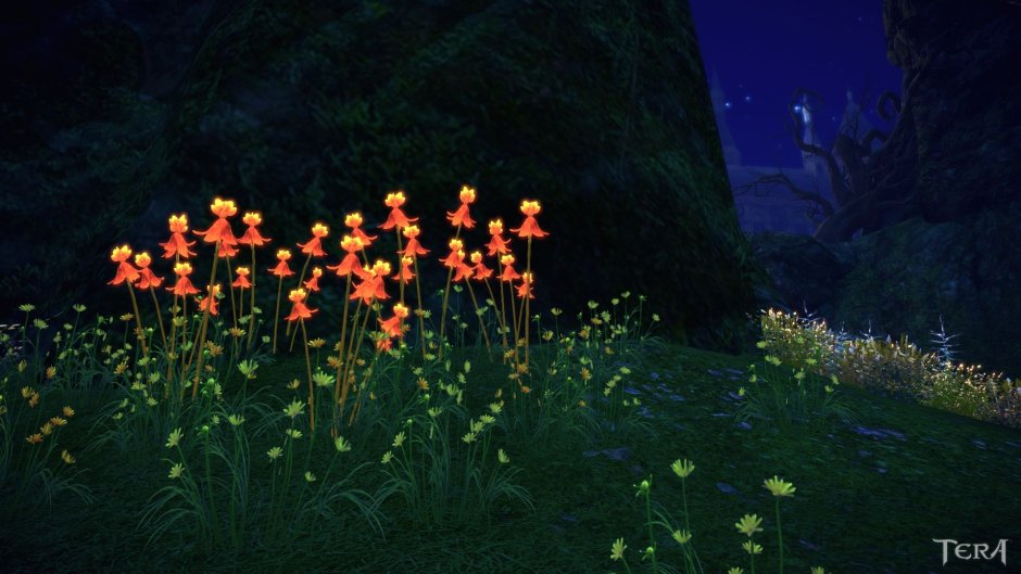 Растения ночью