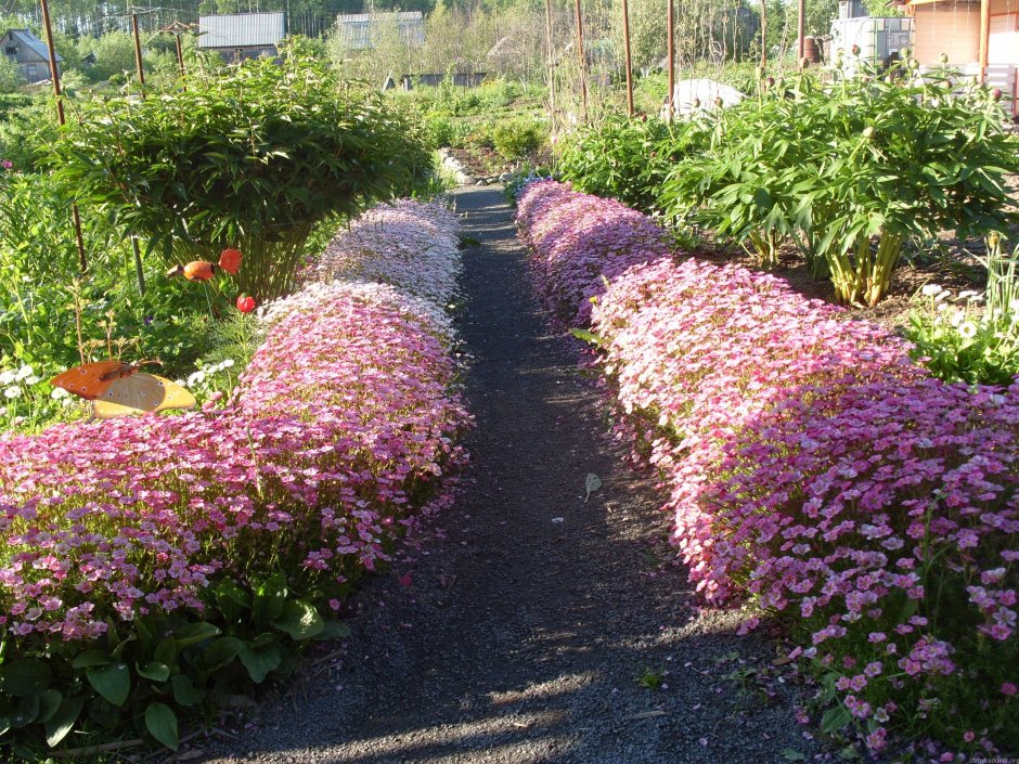 Партеры,клумбы, рабатки