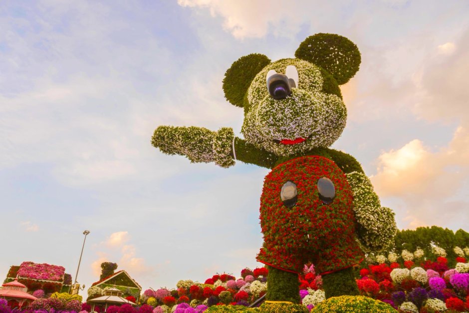 Miracle Garden Дубай Микки Маус