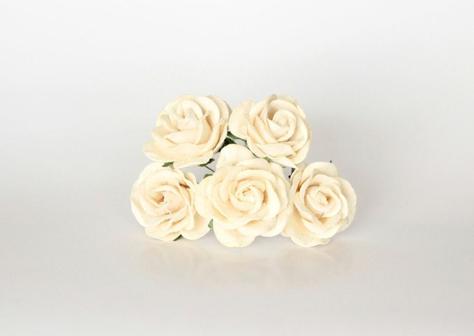 Бело розовые розы