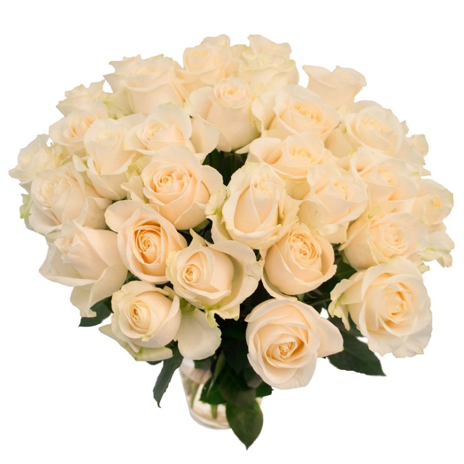 Букет 31 роза белая