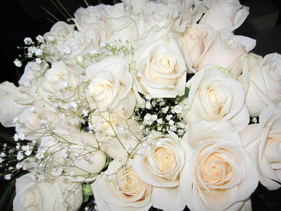Белые розы в руках у девушки