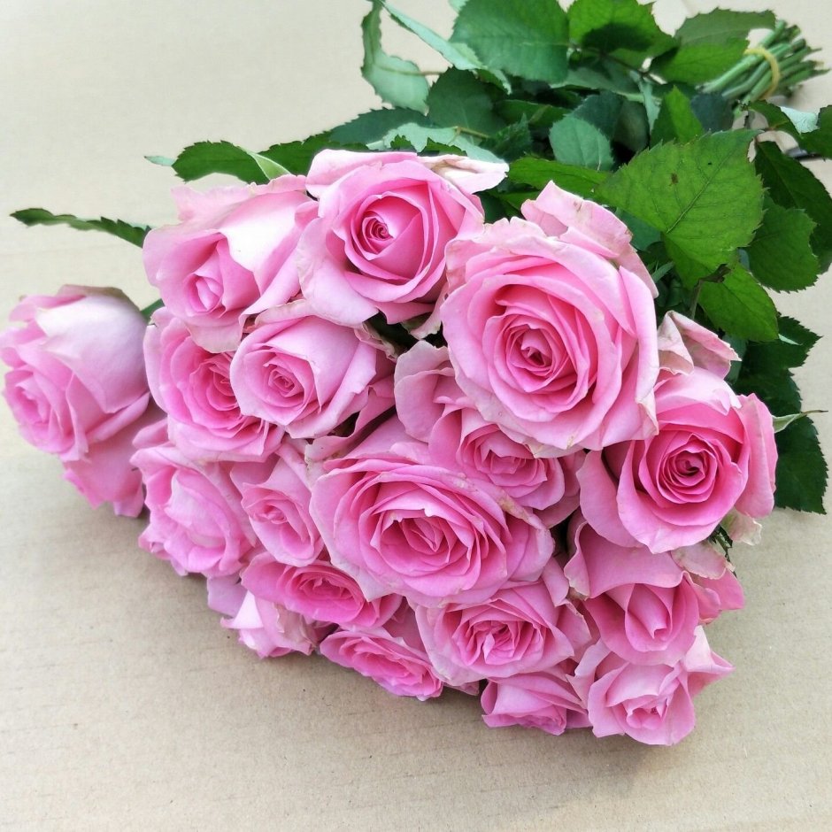 Шикарные розовые розы