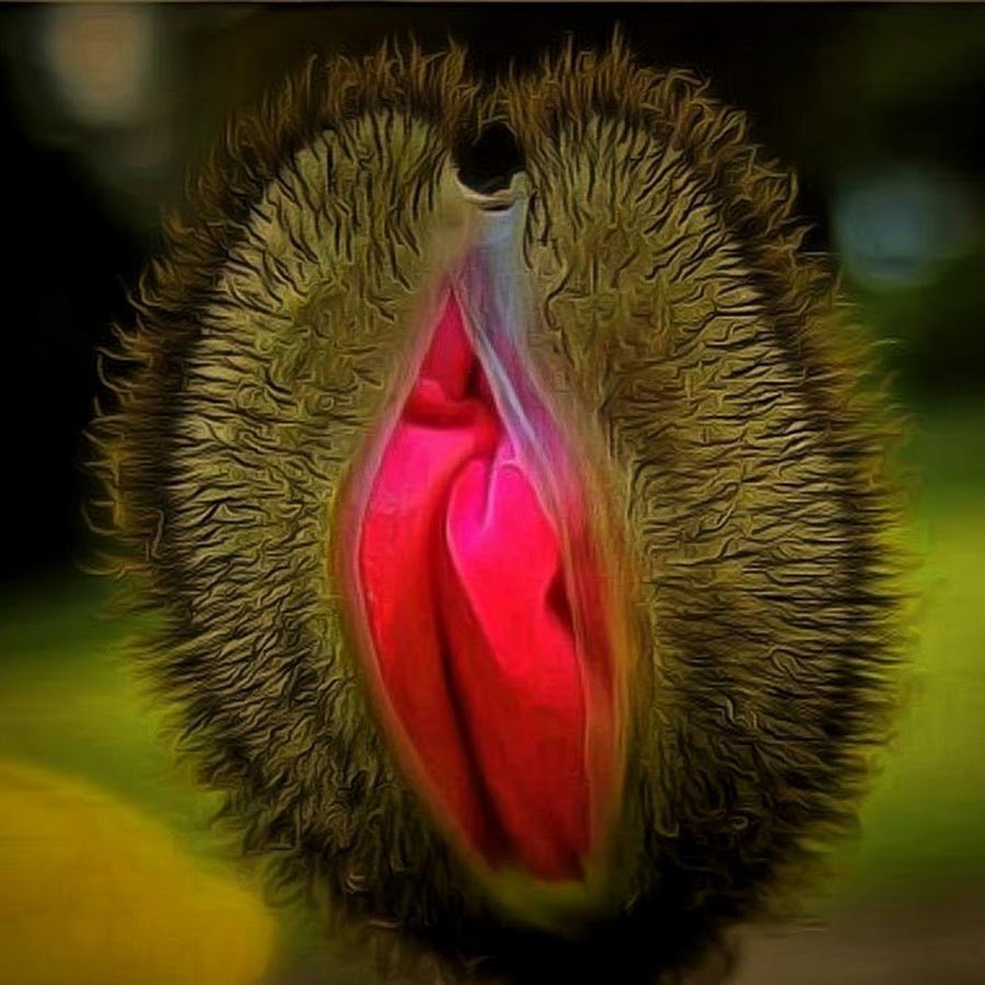 Растение в форме вагины