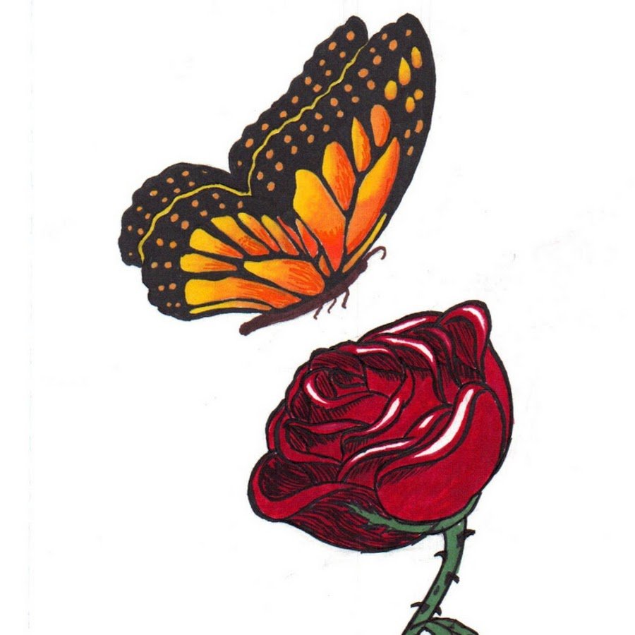 Нарисованная роза с бабочкой