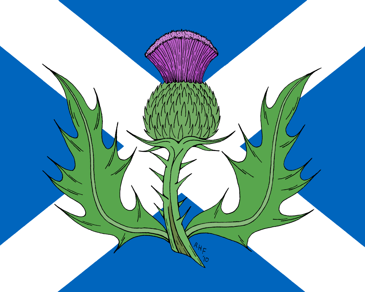Scotland plant symbol. Цветок чертополоха символ Шотландии. Национальный символ Шотландии чертополох. Thistle символ Шотландии. Национальный цветок Шотландии чертополох.