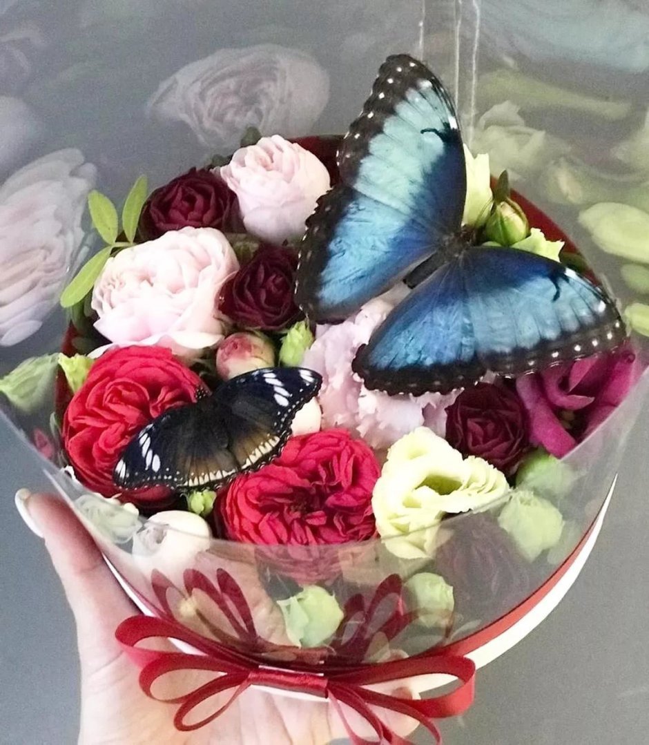 Букеты с живыми бабочками Иваново