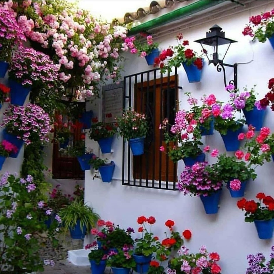 Украшение балкона цветами в летнее время