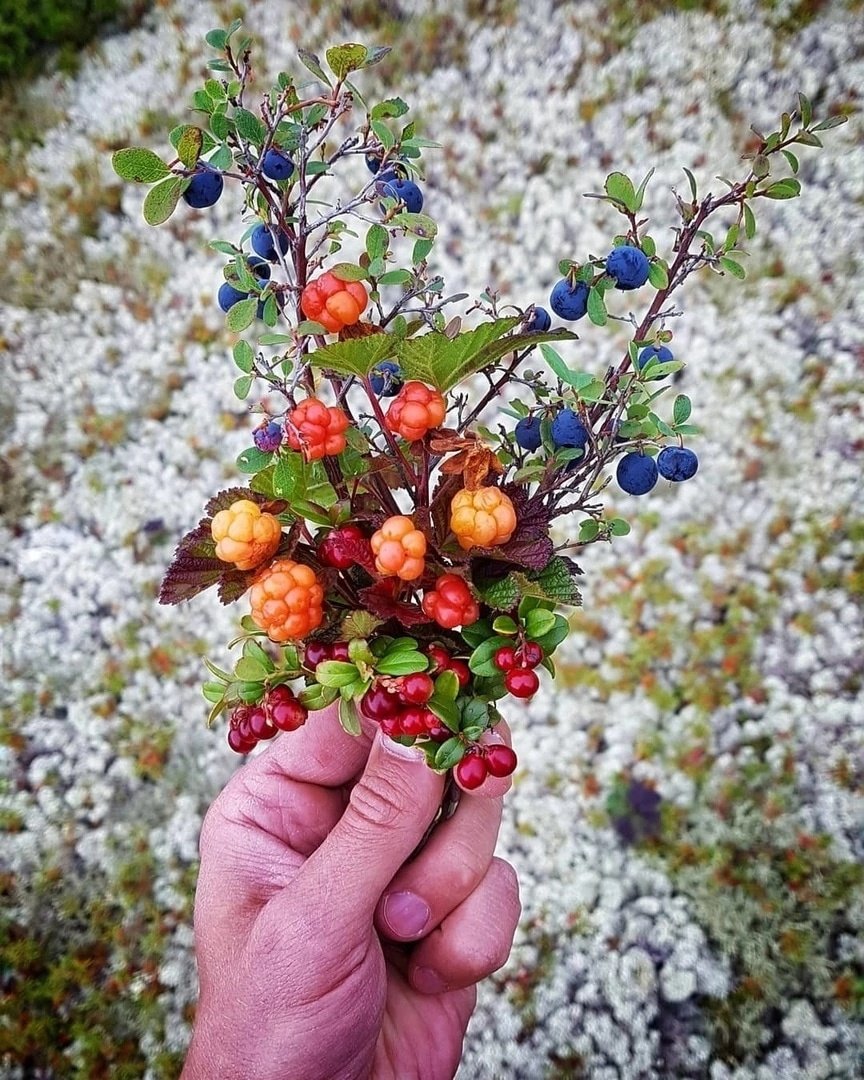 Букет из северных ягод