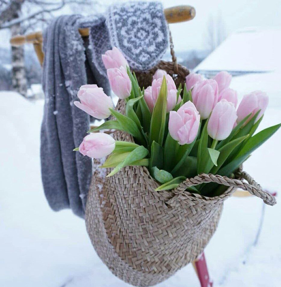 Букет тюльпанов зимой