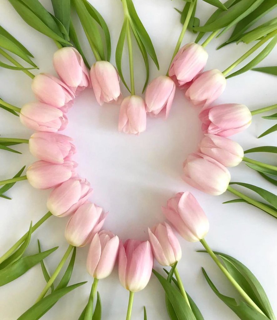 Сердце из тюльпанов