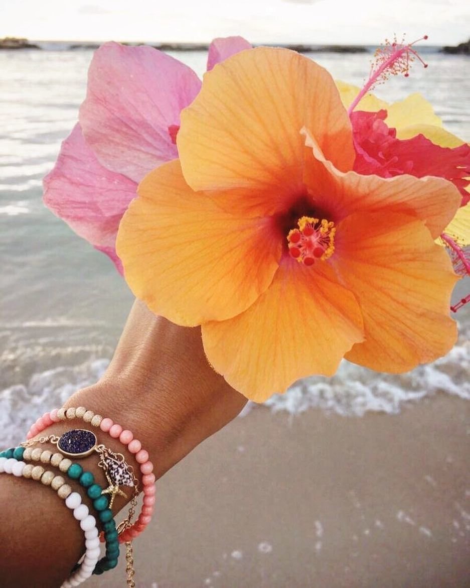 Лето Гавайские цветы