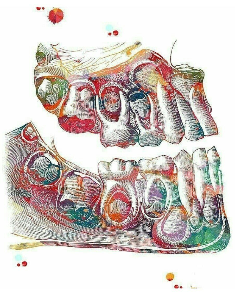 Картины для стоматологии