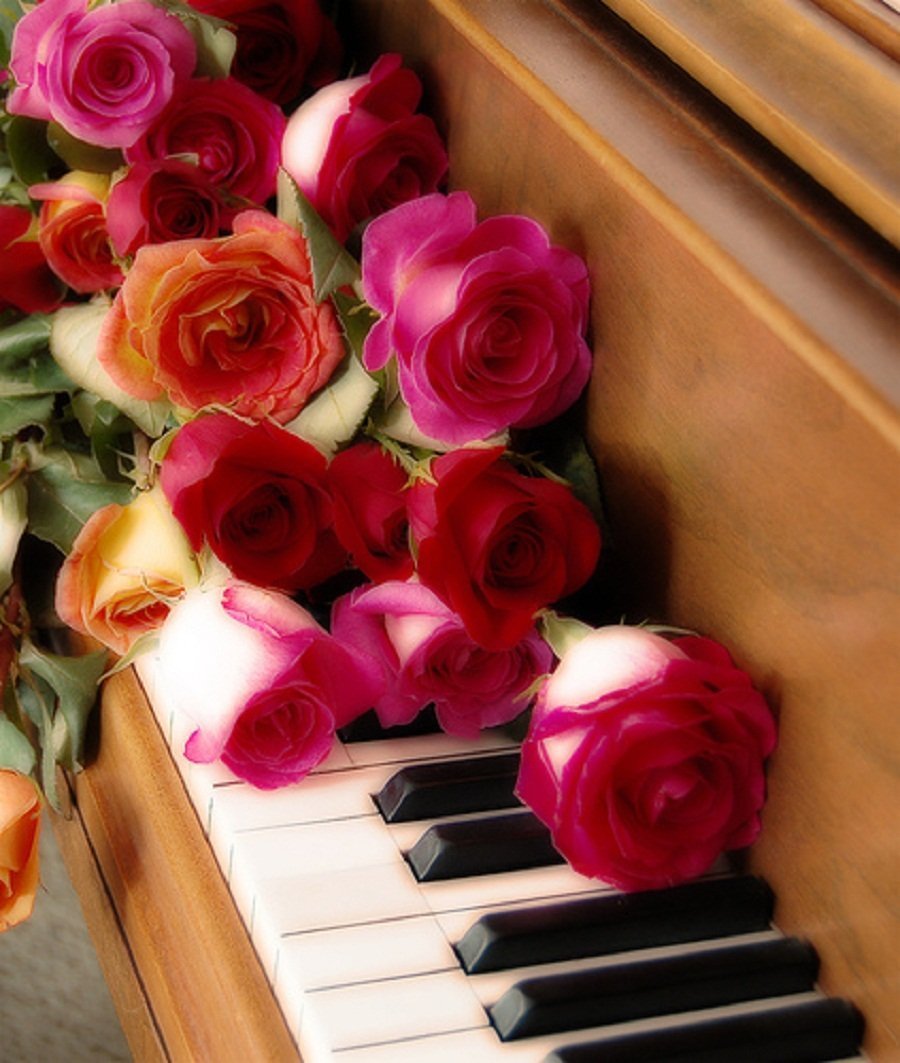 Цветы на пианино