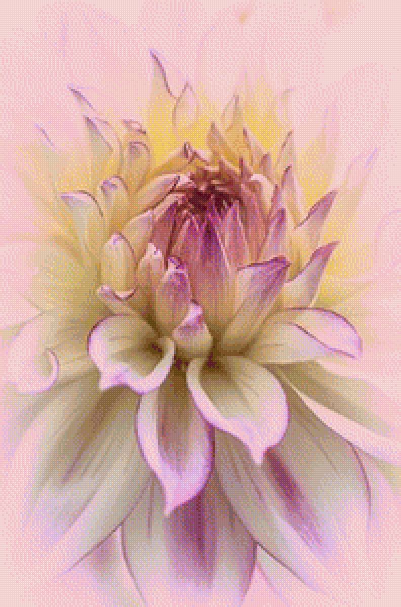 Цветы акварелью георгины