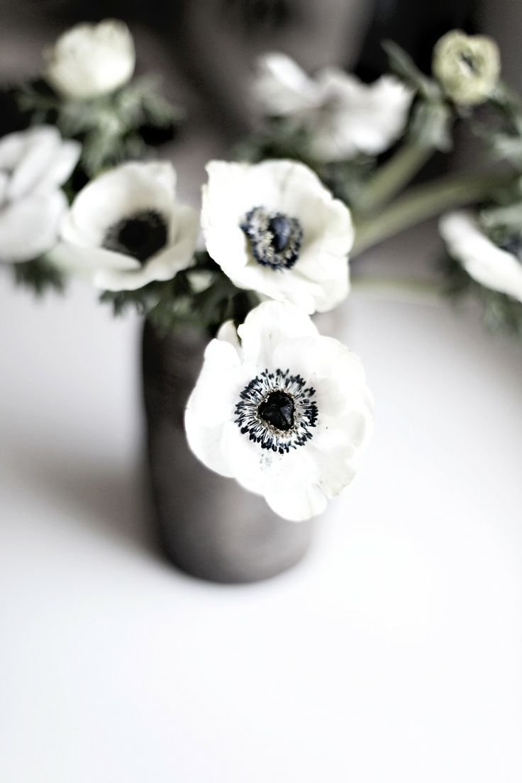 Цветок белый с черной серединой