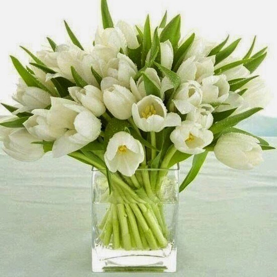 Белые тюльпаны красивый букет